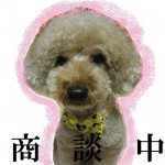 一宮東町（２）売り土地